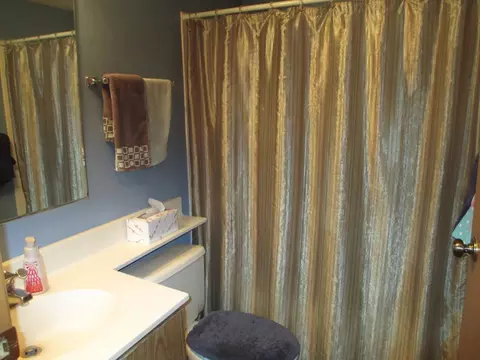 32 Trinity Pl, Spring Valley, IL 61362 photo 12