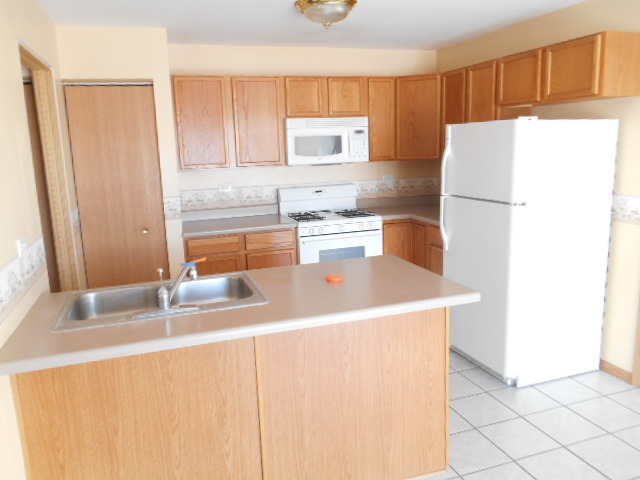 417 Andrea Ct, Harvard, IL 60033 photo 4