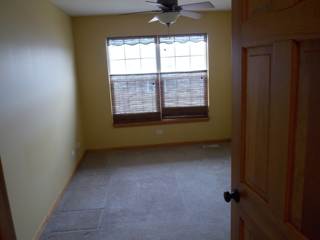 16348 S Arbor Dr, Plainfield, IL 60586 photo 13