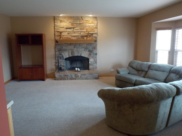 16348 S Arbor Dr, Plainfield, IL 60586 photo 1