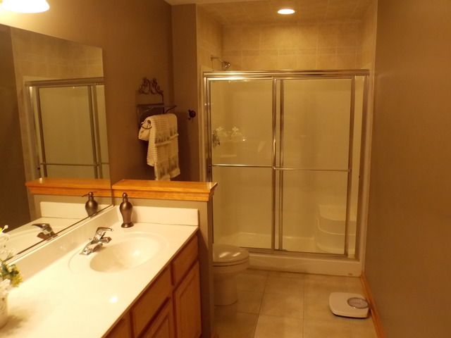 16348 S Arbor Dr, Plainfield, IL 60586 photo 7