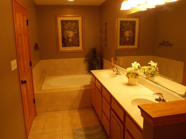 16348 S Arbor Dr, Plainfield, IL 60586 photo 6