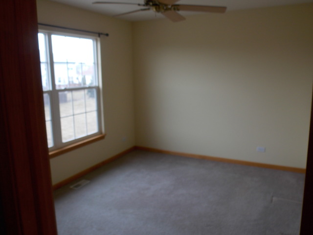 16348 S Arbor Dr, Plainfield, IL 60586 photo 11