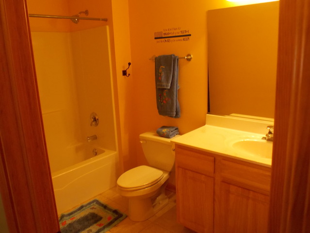 16348 S Arbor Dr, Plainfield, IL 60586 photo 9