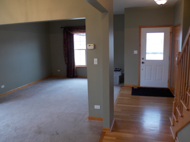16348 S Arbor Dr, Plainfield, IL 60586 photo 5