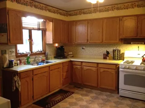 209 E Pine St, Manlius, IL 61338 photo 2