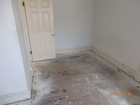 405 Center St, Elgin, IL 60123 photo 20