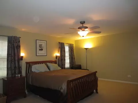 13635 Eagles Perch Ct, Plainfield, IL 60544 photo 11