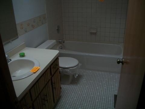 230 Lind, Hillside, IL 60162 photo 10