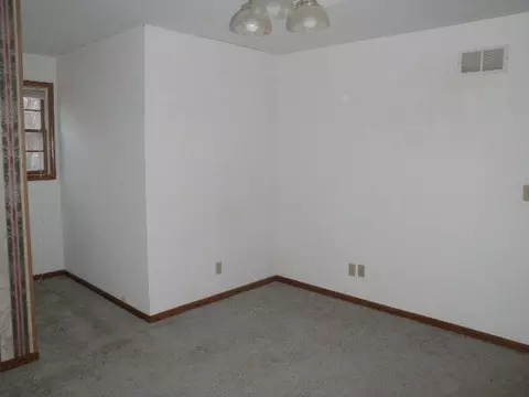 391 10th St, Mazon, IL 60444 photo 9