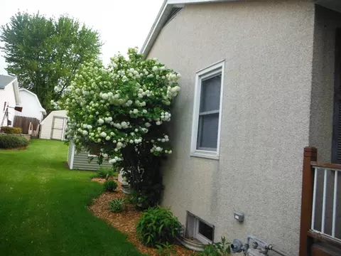 328 W 4th St, Spring Valley, IL 61362 photo 17