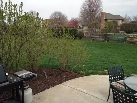 15937 Hometown Dr, Plainfield, IL 60586 photo 25
