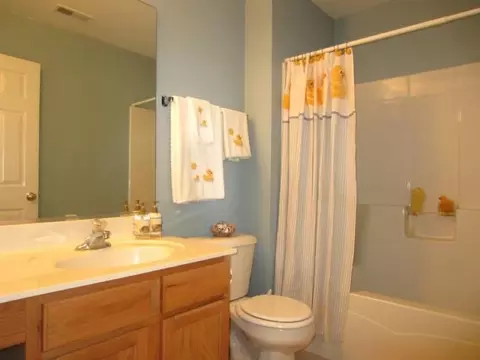 24106 Walnut Cir, Plainfield, IL 60585 photo 14