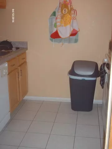 4529 Prescott Ave #1E, Lyons, IL 60534 photo 6