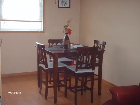 4529 Prescott Ave #1E, Lyons, IL 60534 photo 8