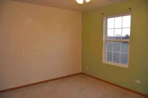 2411 Oak Tree Ln, Plainfield, IL 60586 photo 17