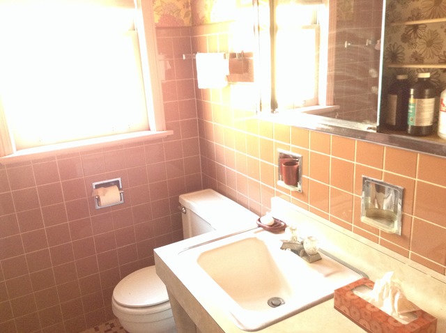3934 W 68th St, Chicago, IL 60629 photo 13