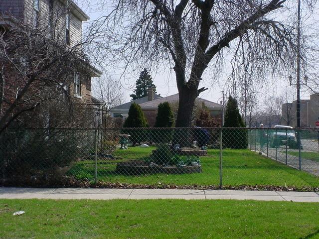 3445 S 61st Ave, Cicero, IL 60804 photo 3