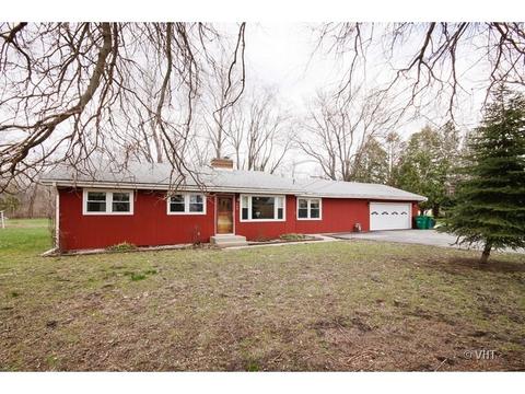 148 E 1st St, Braidwood, IL 60408 photo 1