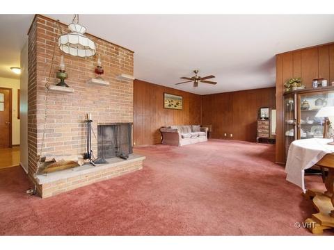 148 E 1st St, Braidwood, IL 60408 photo 3