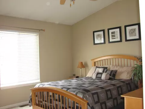 14043 Emerald Ct, Plainfield, IL 60544 photo 13