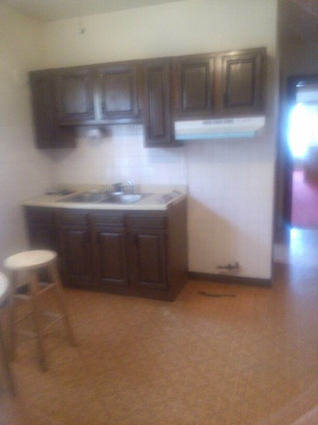 32 E 120th Pl, Chicago, IL 60628 photo 5