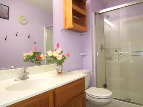 1705 Kenicott Ln, Plainfield, IL 60586 photo 3