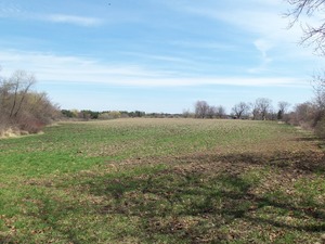 17616 Hebron Rd, Harvard, IL 60033 photo 16