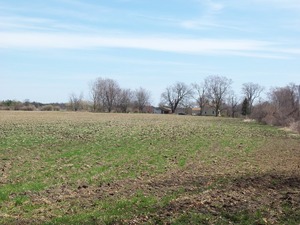 17616 Hebron Rd, Harvard, IL 60033 photo 14