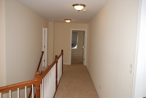 3005 Eros Dr, Olympia Fields, IL 60461 photo 8