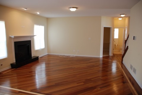 3005 Eros Dr, Olympia Fields, IL 60461 photo 5