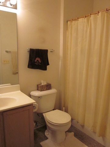 973 Teasel Ln, Aurora, IL 60504 photo 5