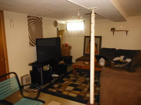 503 E Dakota St, Spring Valley, IL 61362 photo 7