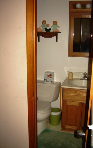 1309 Coolidge Ave, Wheaton, IL 60189 photo 19