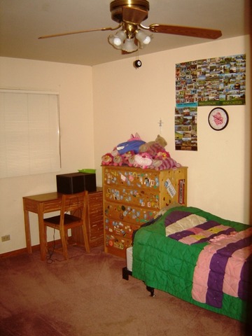1309 Coolidge Ave, Wheaton, IL 60189 photo 14