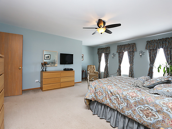 1707 Great Ridge Dr, Plainfield, IL 60586 photo 9