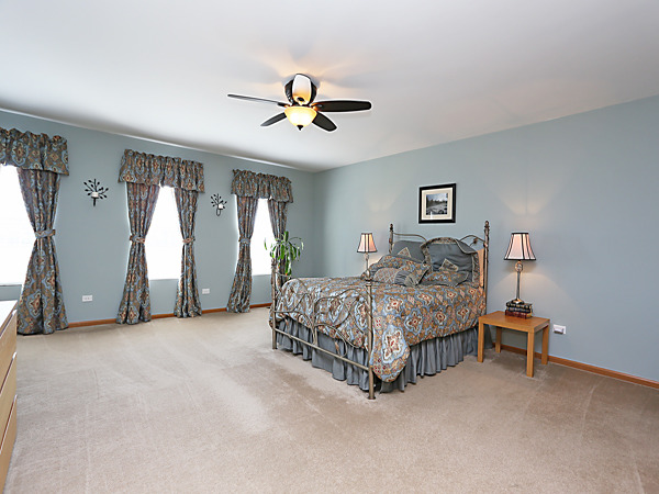 1707 Great Ridge Dr, Plainfield, IL 60586 photo 8