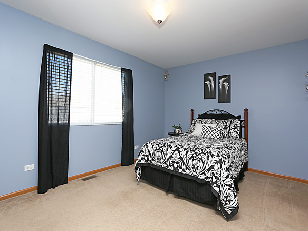 1707 Great Ridge Dr, Plainfield, IL 60586 photo 12
