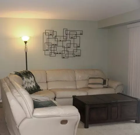 935 Colony Ln, Hoffman Estates, IL 60192 photo 11