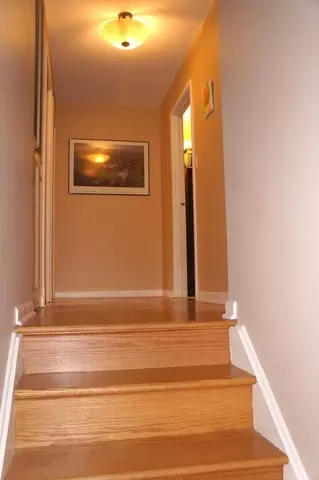 935 Colony Ln, Hoffman Estates, IL 60192 photo 14