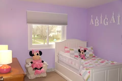 935 Colony Ln, Hoffman Estates, IL 60192 photo 17