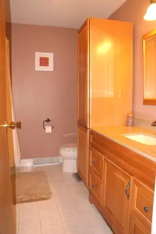 935 Colony Ln, Hoffman Estates, IL 60192 photo 16