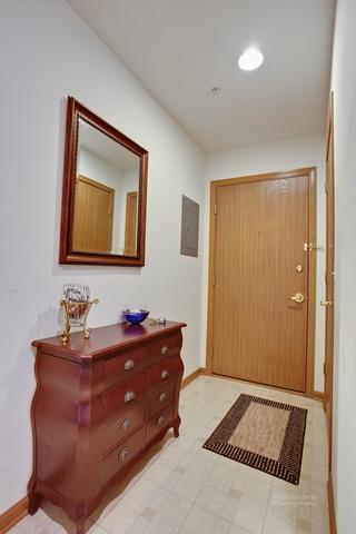 57 E Hattendorf Ave #312, Roselle, IL 60172 photo 4