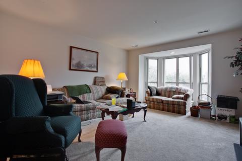 57 E Hattendorf Ave #312, Roselle, IL 60172 photo 9