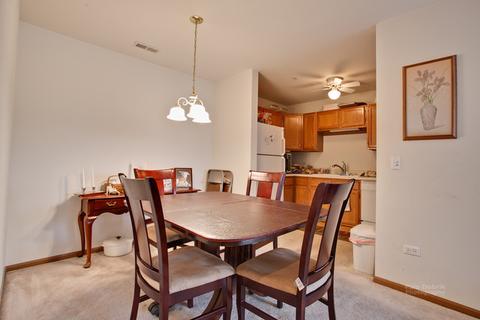 57 E Hattendorf Ave #312, Roselle, IL 60172 photo 13