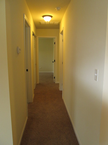 5 E Rocket Cir, Park Forest, IL 60466 photo 17