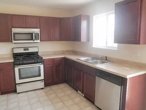 729 Brita Trl, Minooka, IL 60447 photo 3
