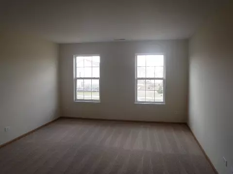 729 Brita Trl, Minooka, IL 60447 photo 11