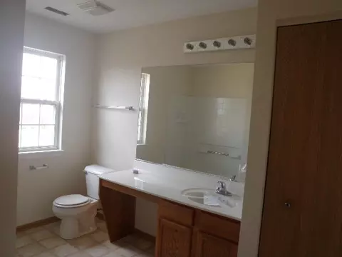 729 Brita Trl, Minooka, IL 60447 photo 9