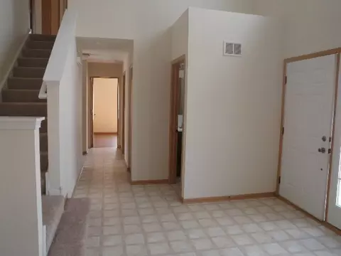 729 Brita Trl, Minooka, IL 60447 photo 7